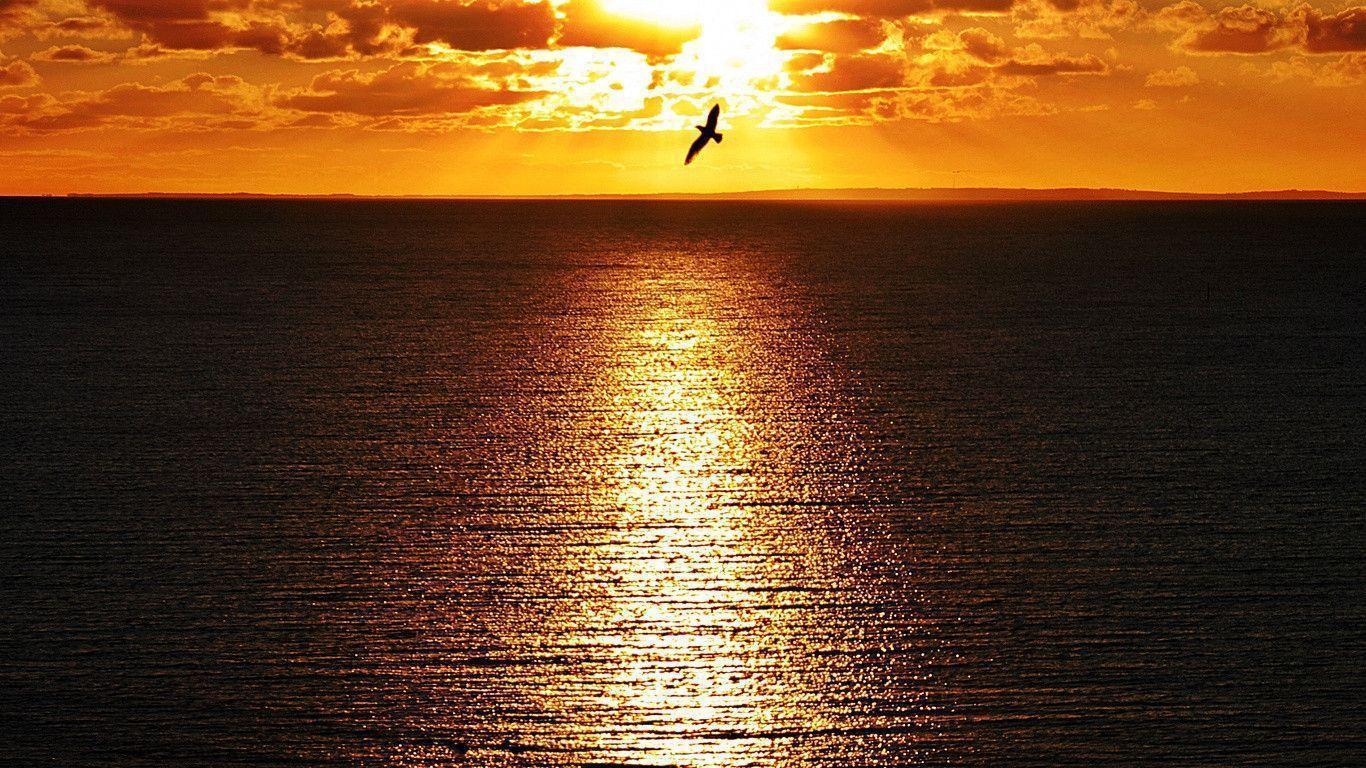 Desktop Wallpaper: Amazing wallpaper