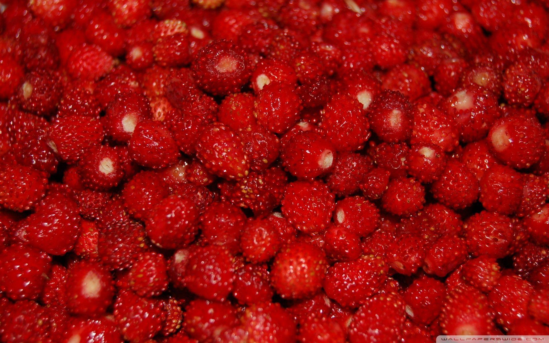 Strawberry wallpaper