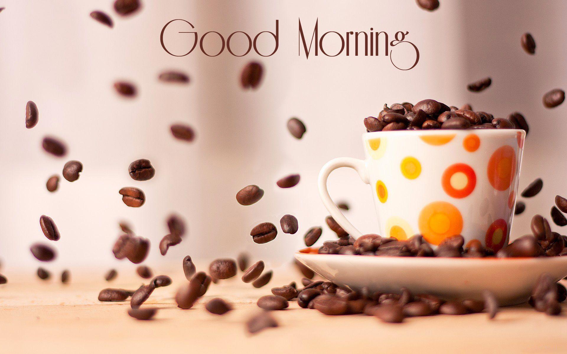 Good Morning Wallpaper Picture Image