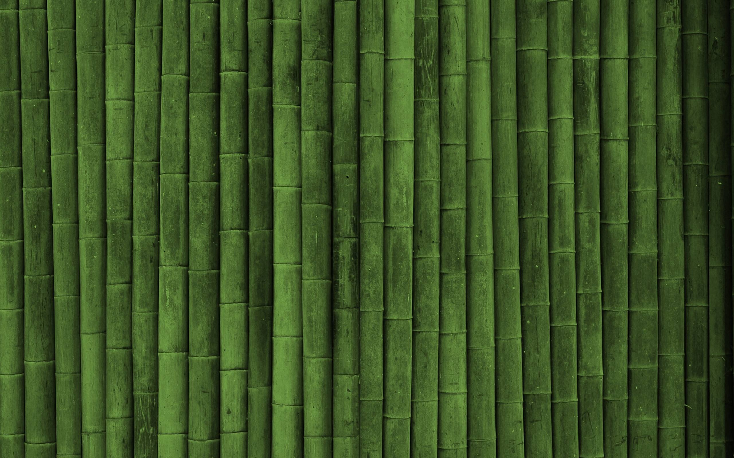 Download Picture Bamboo Texture Green Style Wallpaper 2560x1600