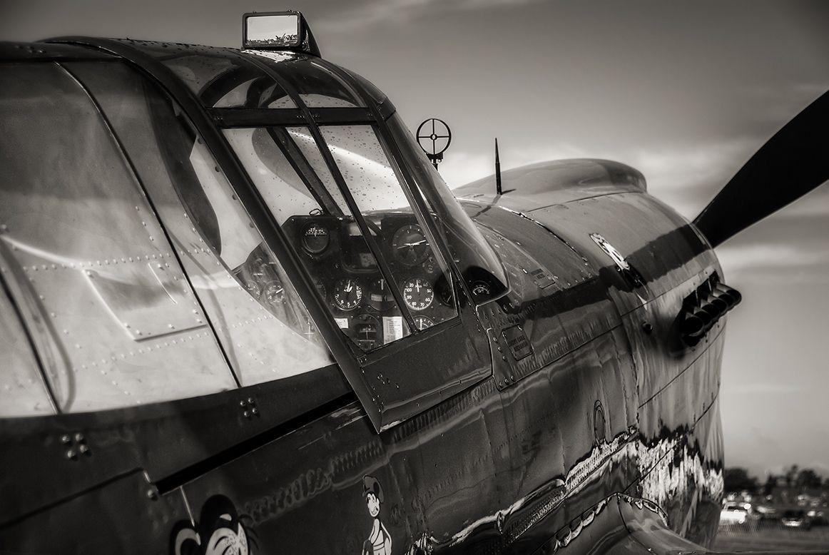 Curtiss P 40 Warhawk. Jeff Greger Photography
