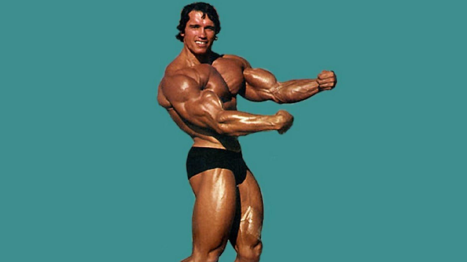 Arnold Bodybuilding Wallpaper Conquer