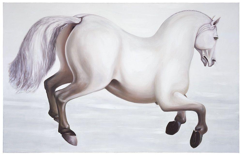 white horse on white background