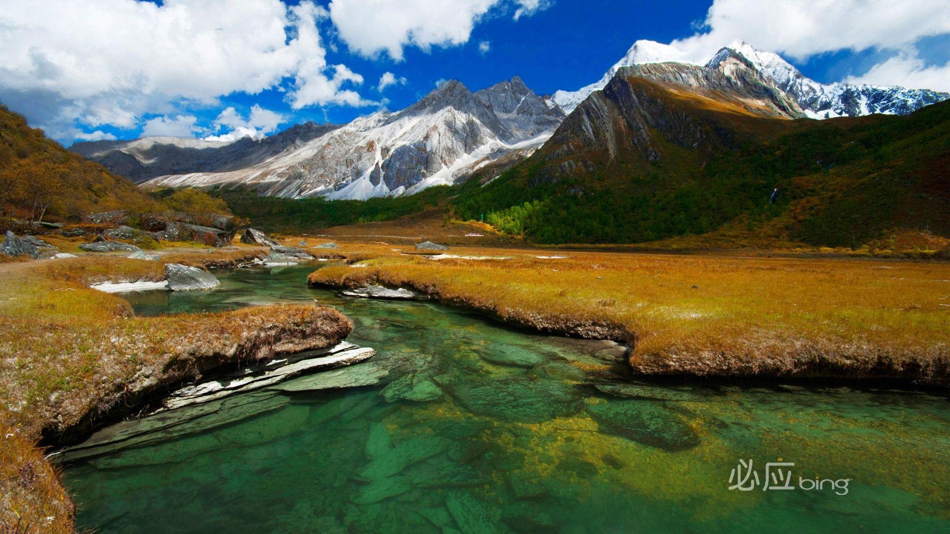 Wallpapers Bing HD - Wallpaper Cave