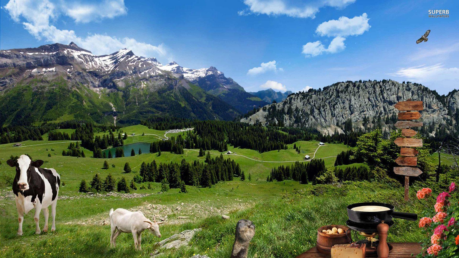 Farm animals on the mountain meadow wallpaper wallpaper - #