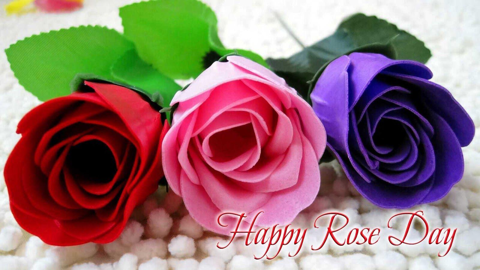 Rose Day 2016 HD Wallpaper and Red Rose Picture. Happy