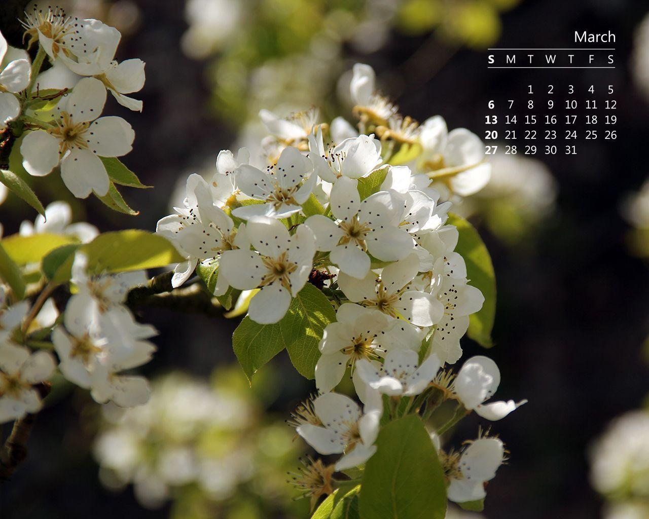 Lorrie Whittington. March 2016 Desktop Calendar Wallpaper