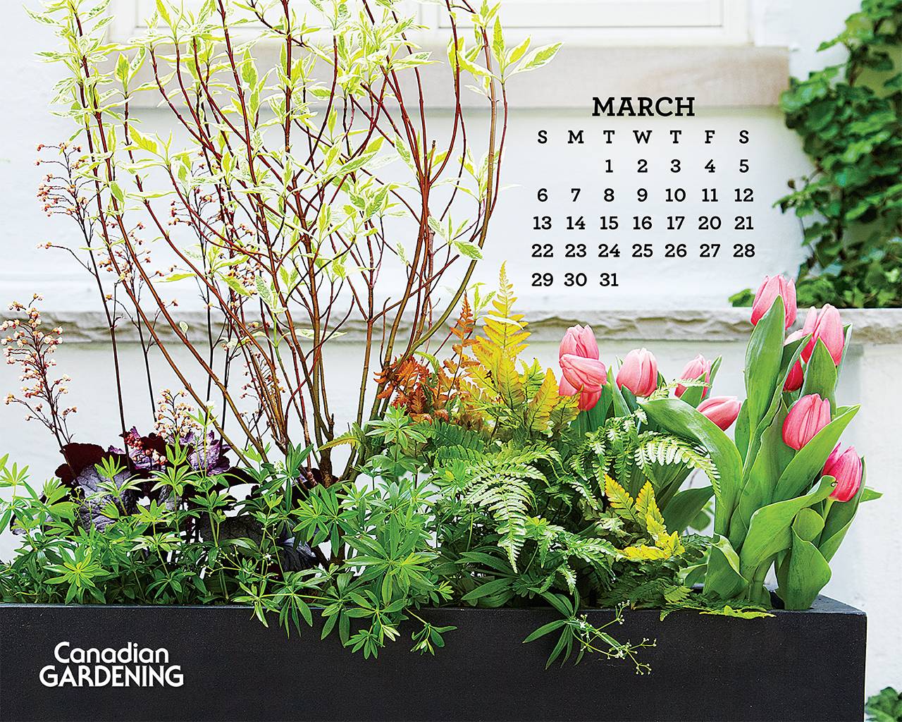 Desktop calendar: March 2016. Parkland Online serving East