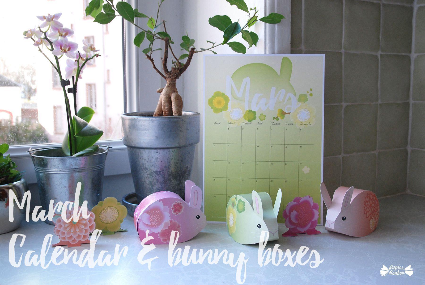 March Printable Calendar & bunny boxes