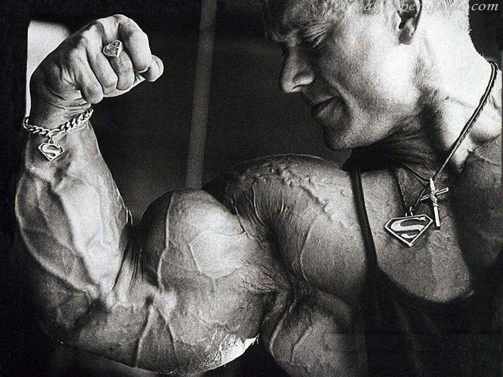 Bodybuilding Wallpaper