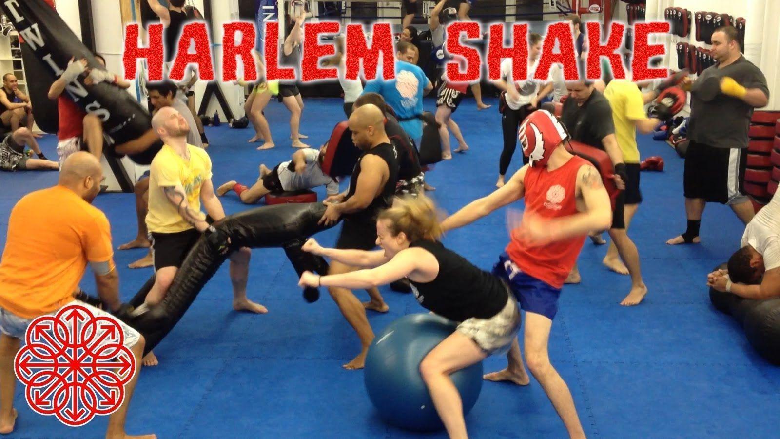 Harlem Shake Muay Thai Academy Latvia edition