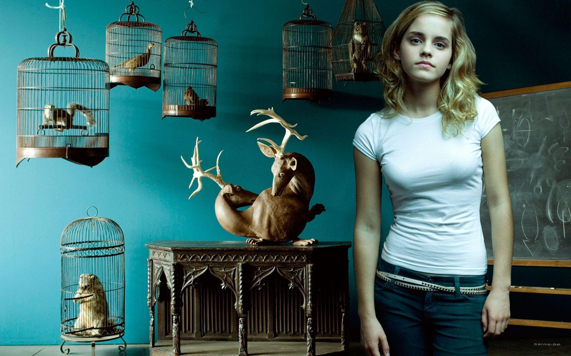 Movies Harry Potter And The Deathly Hallows Emma Watson Hermione