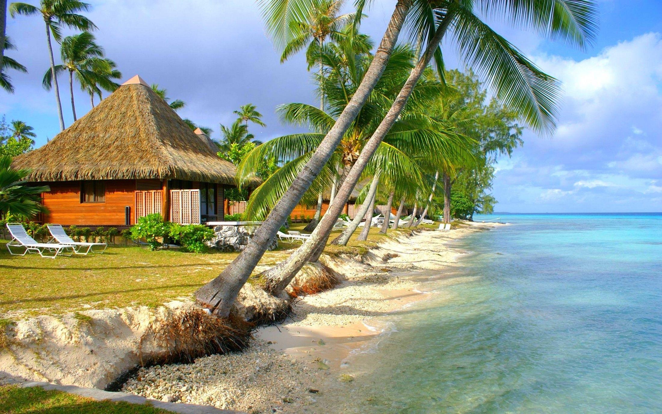 nature, Landscape, Tropical, Beach, Sea, Island, Palm Trees