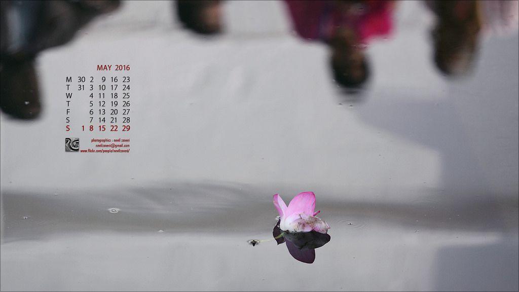 ll Narmade Har ll calendar for May 2016