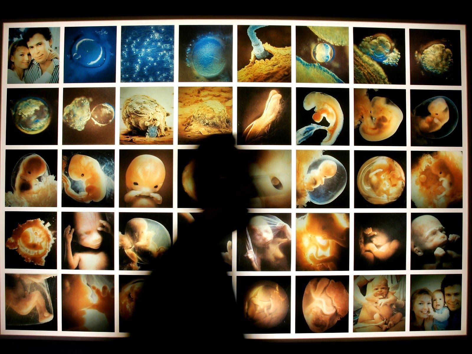 Scientists propose project that includes making human DNA