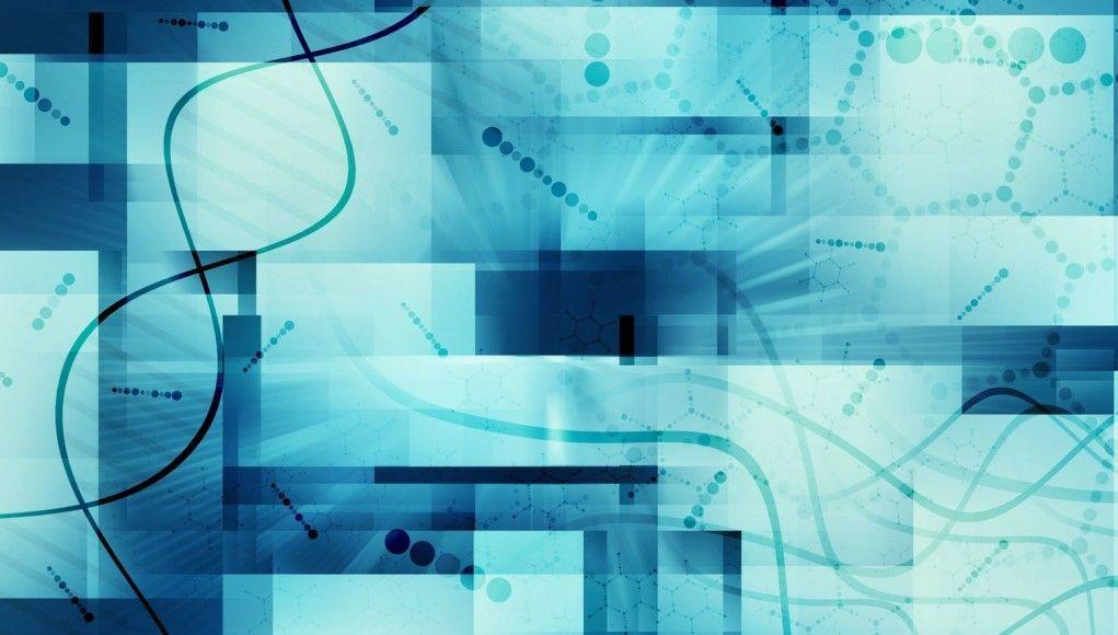 Brain size changes with time of day Internets Best Content
