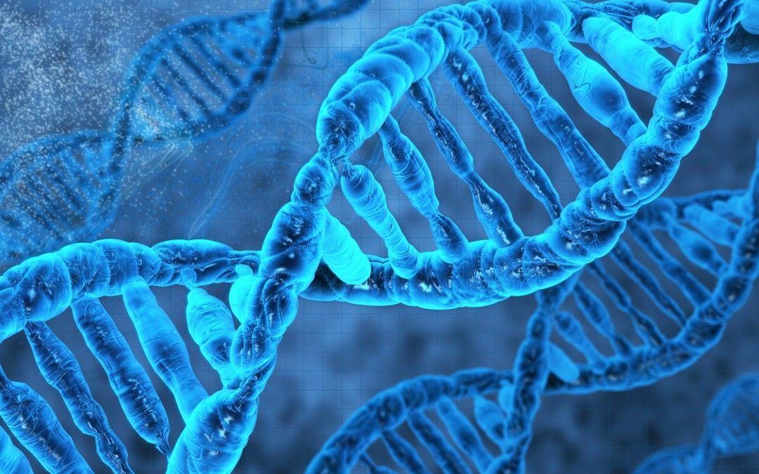 Scientists confirm second layer of information