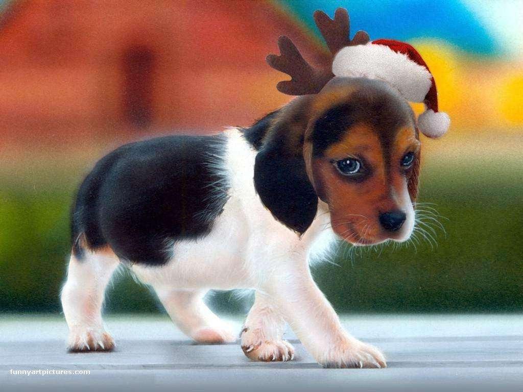 Cute Wallpaper Download Free Cute Cute Lovable Wallpaper. HD