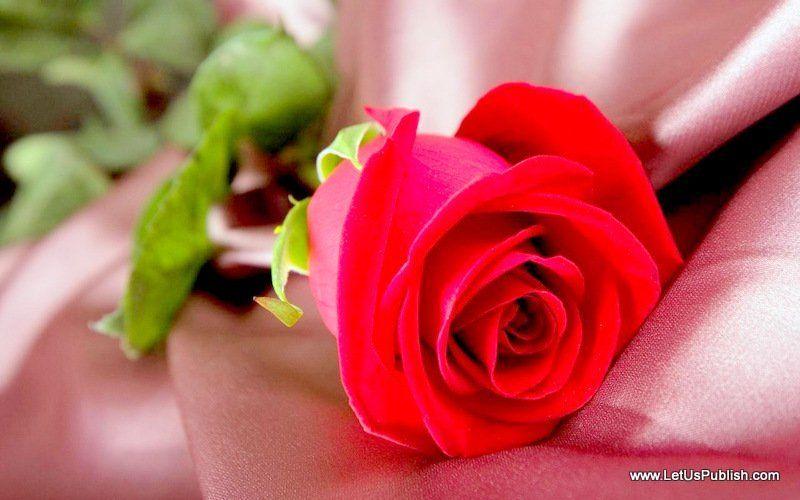Beautiful Romantic Love HD Wallpaper For Couples Us Publish