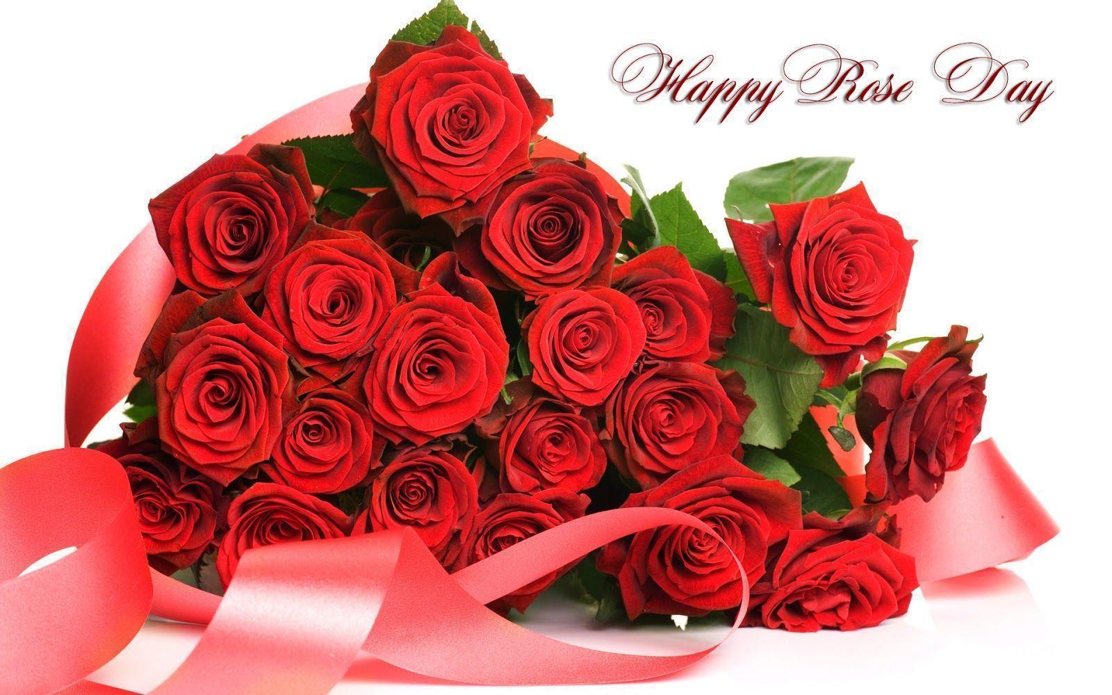 Happy Rose Day Image 2016, Photo, Picture Happy