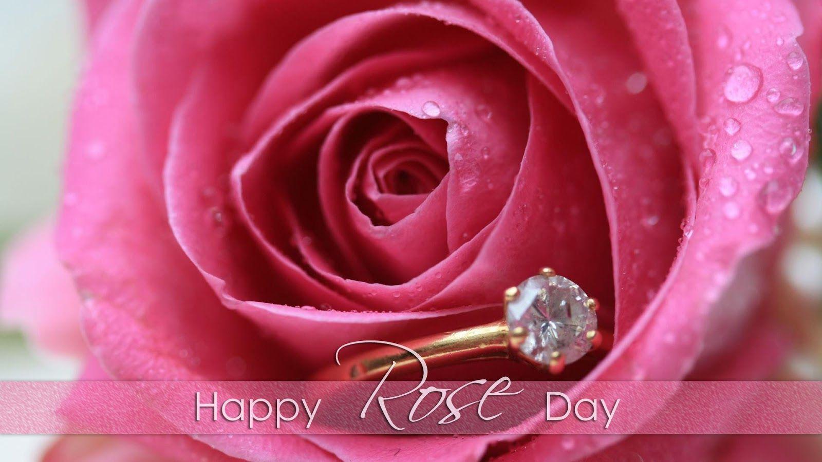 Happy Rose Day Image 2016, Photo, Picture Happy