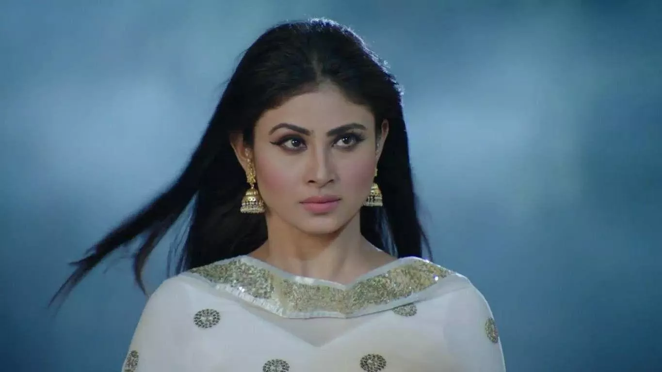 Nagin Tv Serial Actress Shivnya HD Wallpaper HD Wallpaper