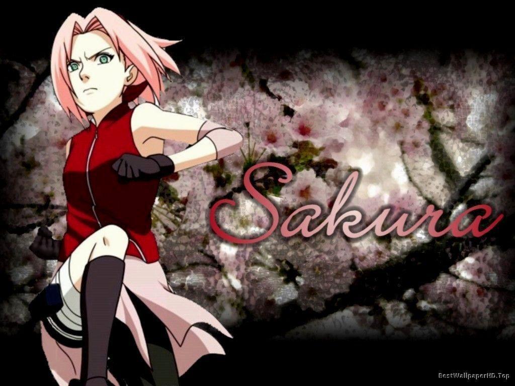 Naruto Shippuden Sakura Haruno