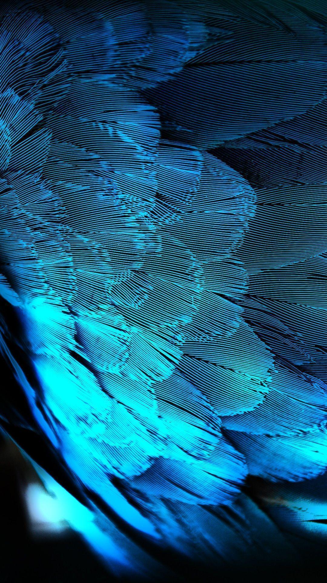 Blue HD Peacock Feathers Android Wallpapers free download