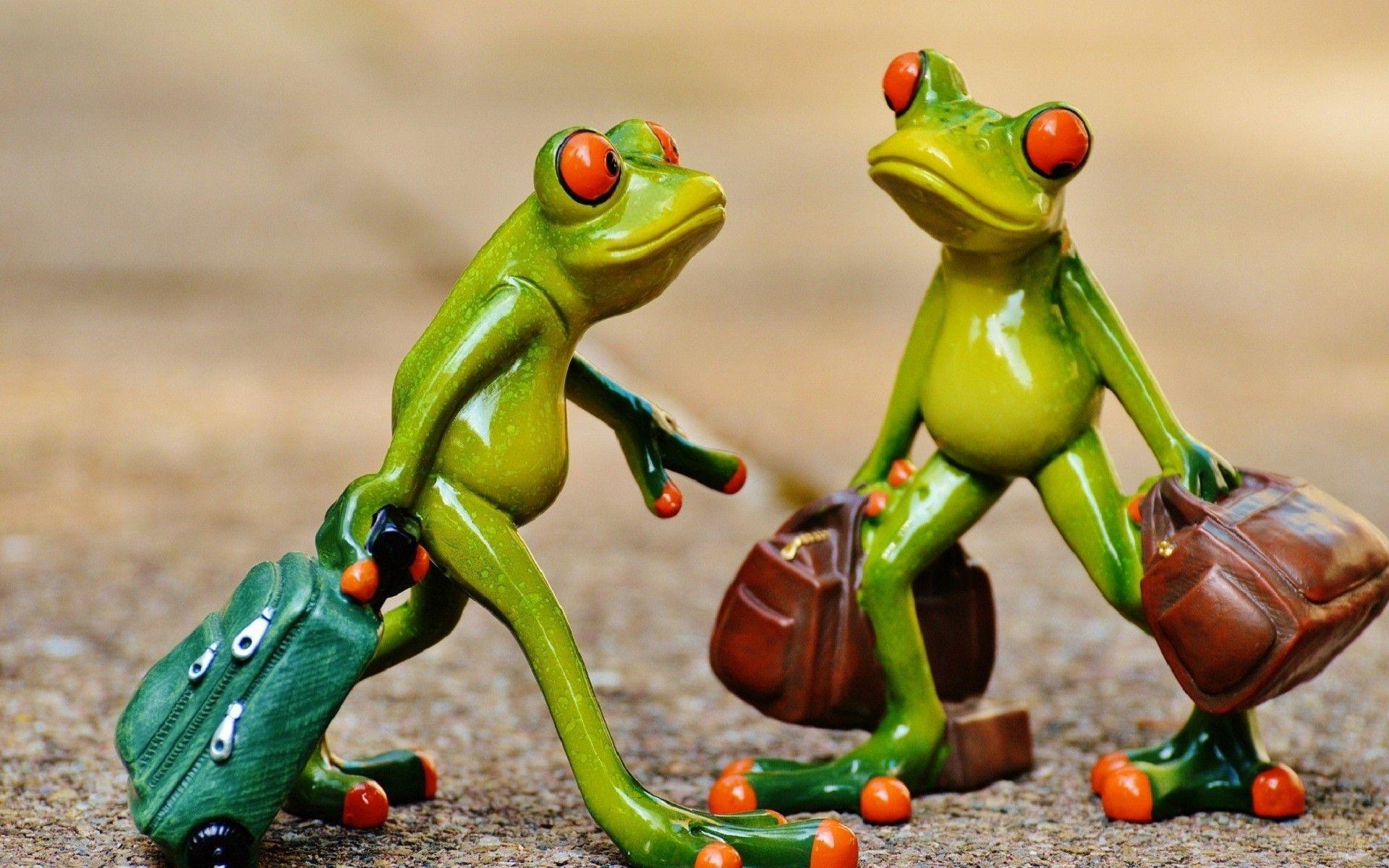 Most Funny Picture for Facebook. Funny Picture, Jokes