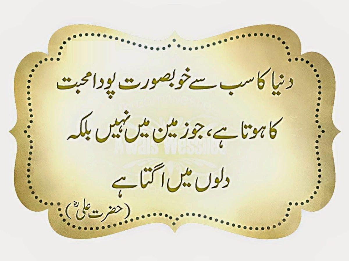 Shayari Urdu Image, urdu shayari with picture, urdu shayari