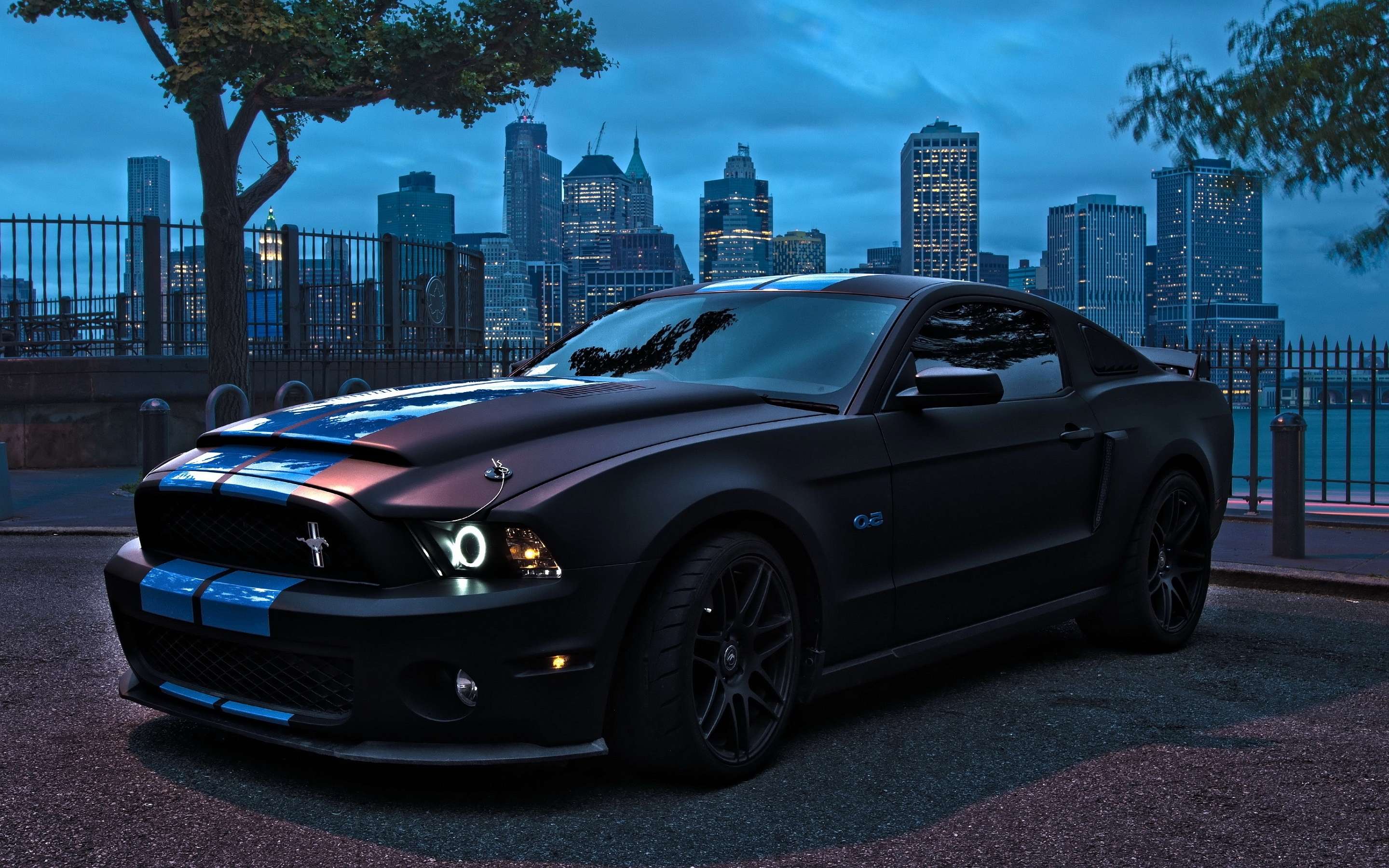 2016 Ford Mustang Gt500 HD Wallpapers