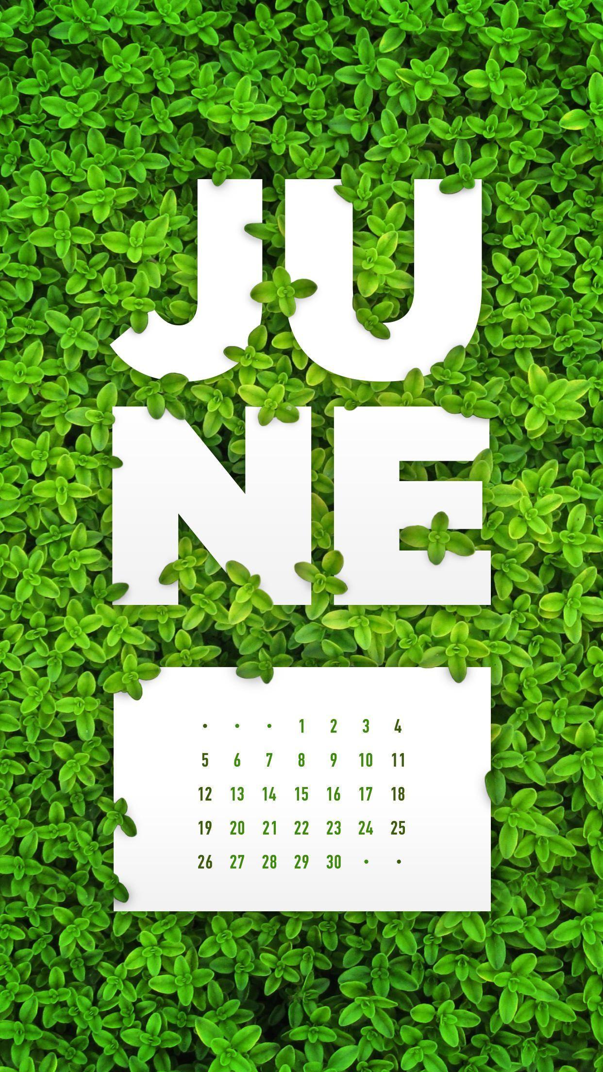 June 2016 Desktop Calendar Wallpaper