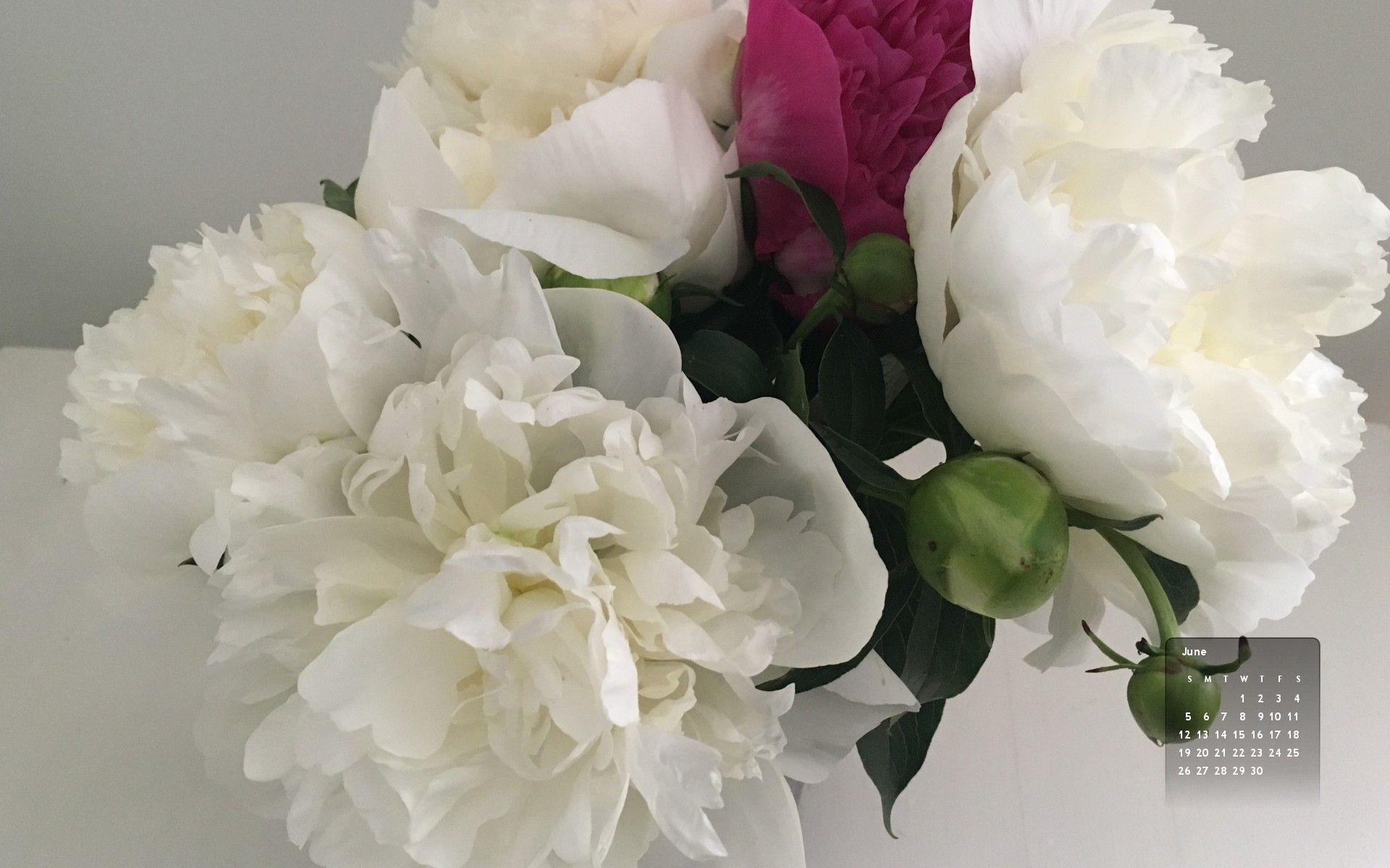 The Accidental Locavore Desktop Calendar