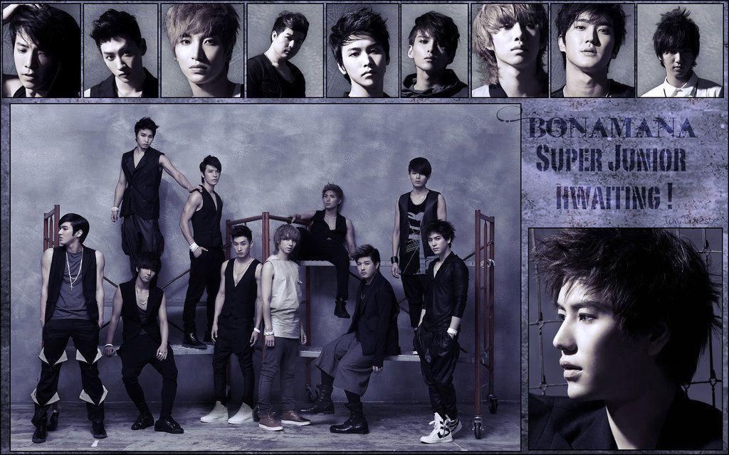 Bonamana Super Junior Wallpaper