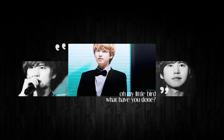 More Like Super Junior Donghae Wallpaper