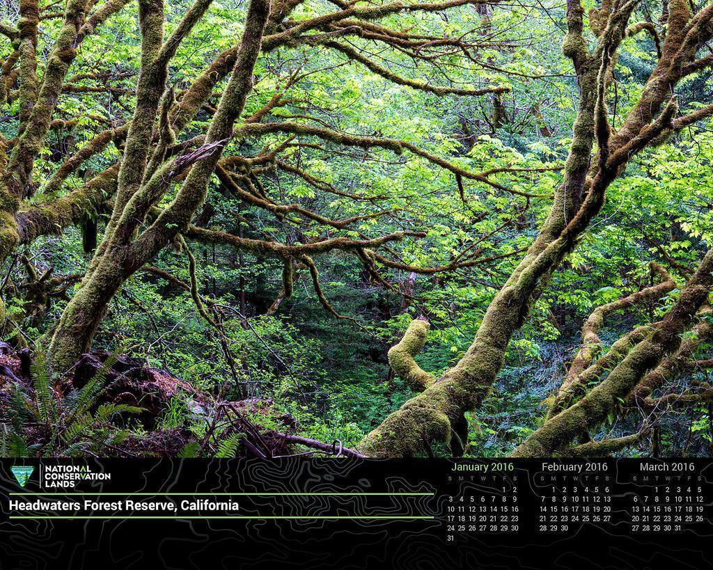 January 2016 Calendar in Honor of #conservationlands15: Desktop