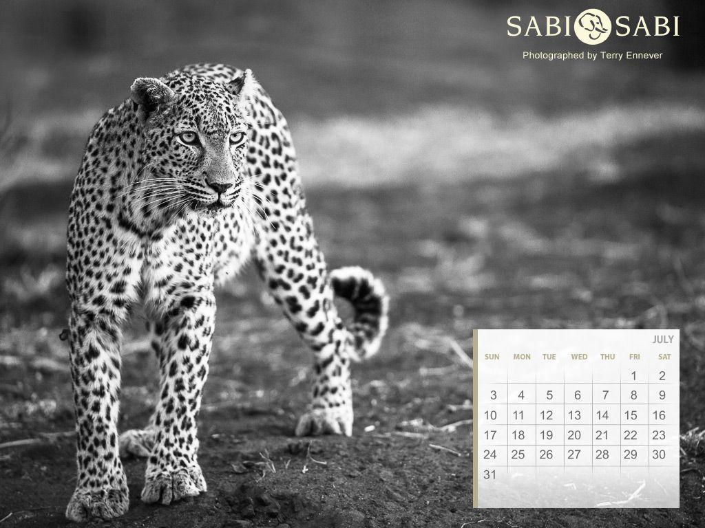 African Wildlife Photography. Safari Desktop Calendars