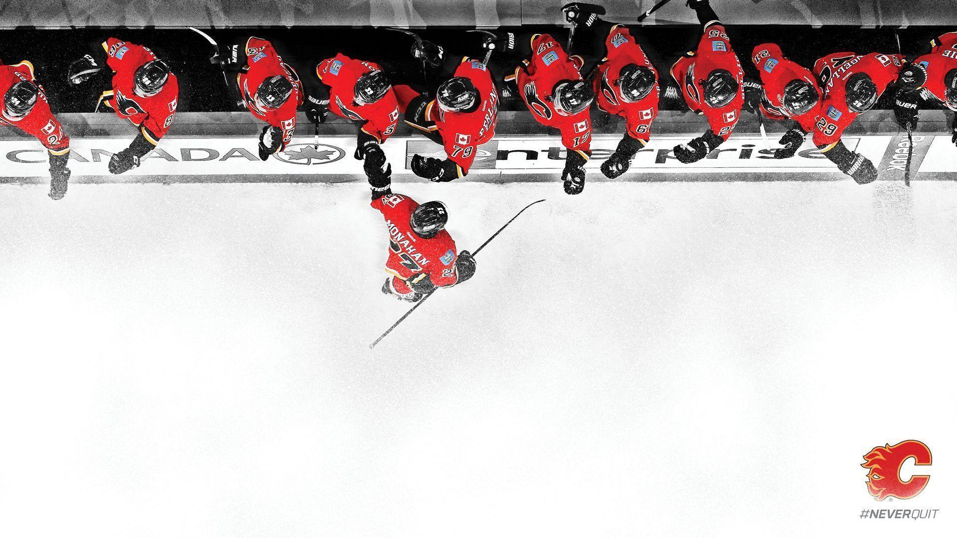 Calgary Flames 2015 2016 Roster