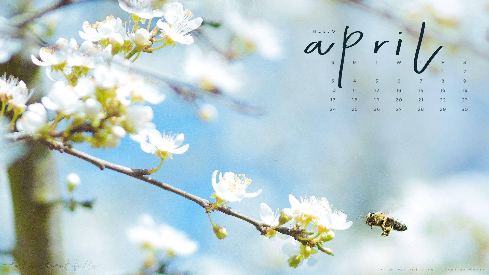 Free Downloadable April Calendar Tech Wallpaper