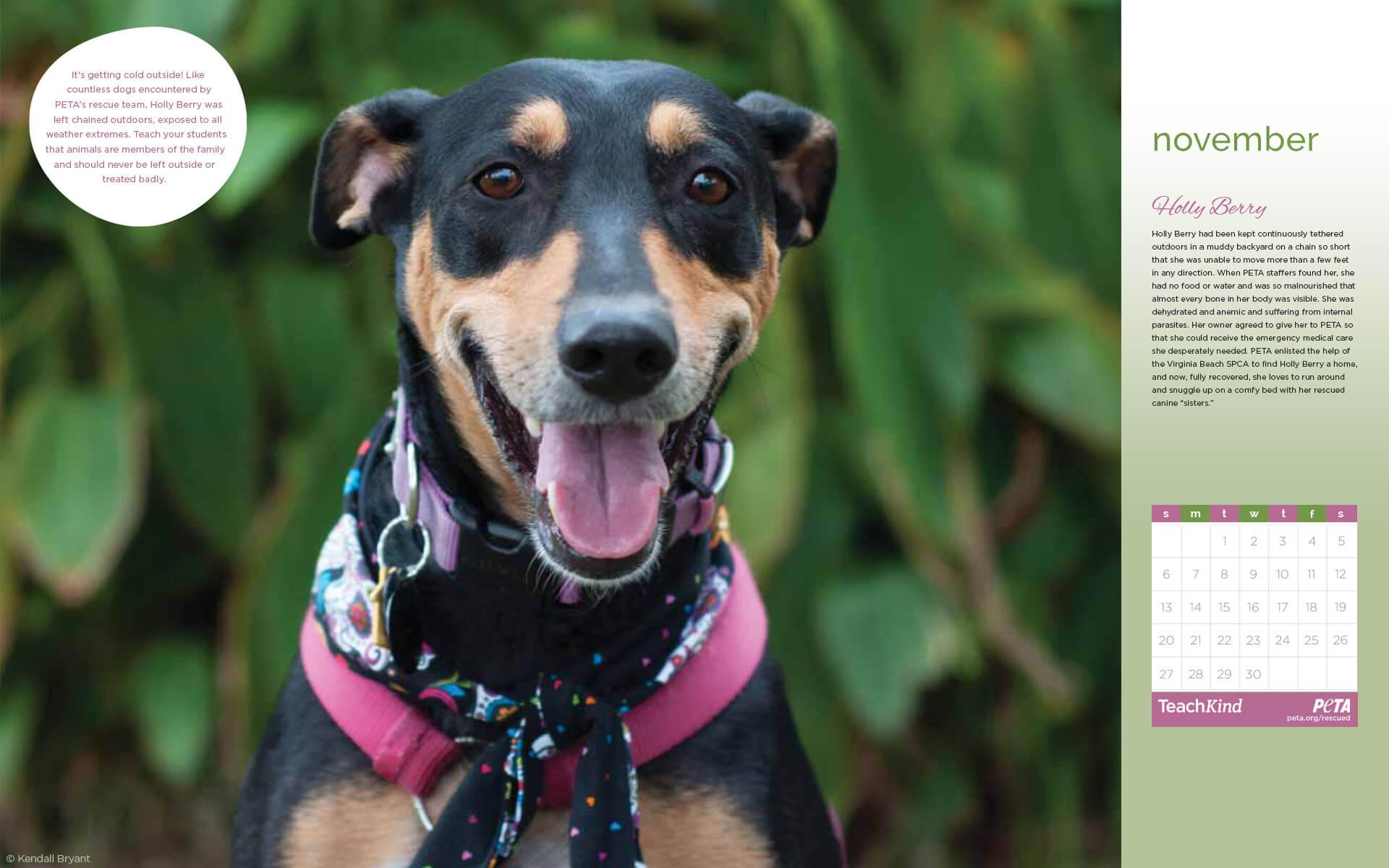 Free 2016 Desktop Calendars for Teachers. Get Inspired to Teach