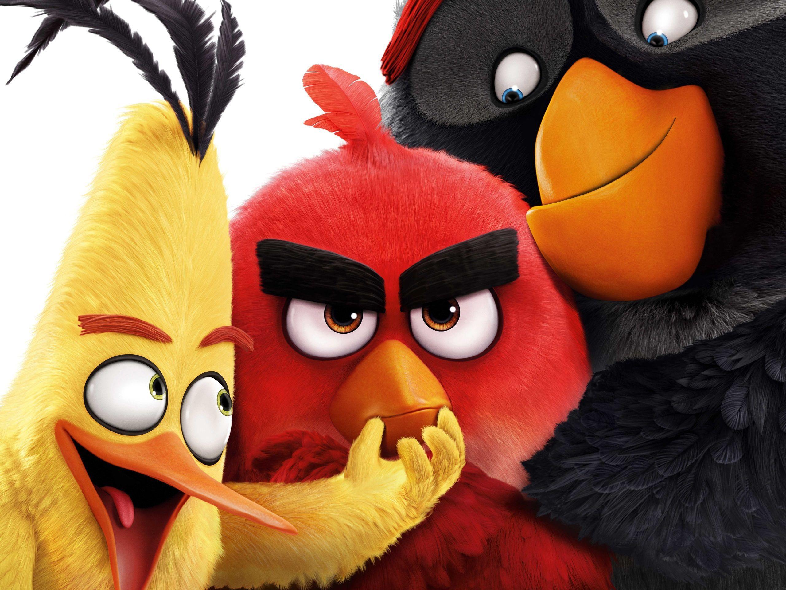 Angry Birds 2016 movie wallpaper, Angry HD wallpaper, Birds HD