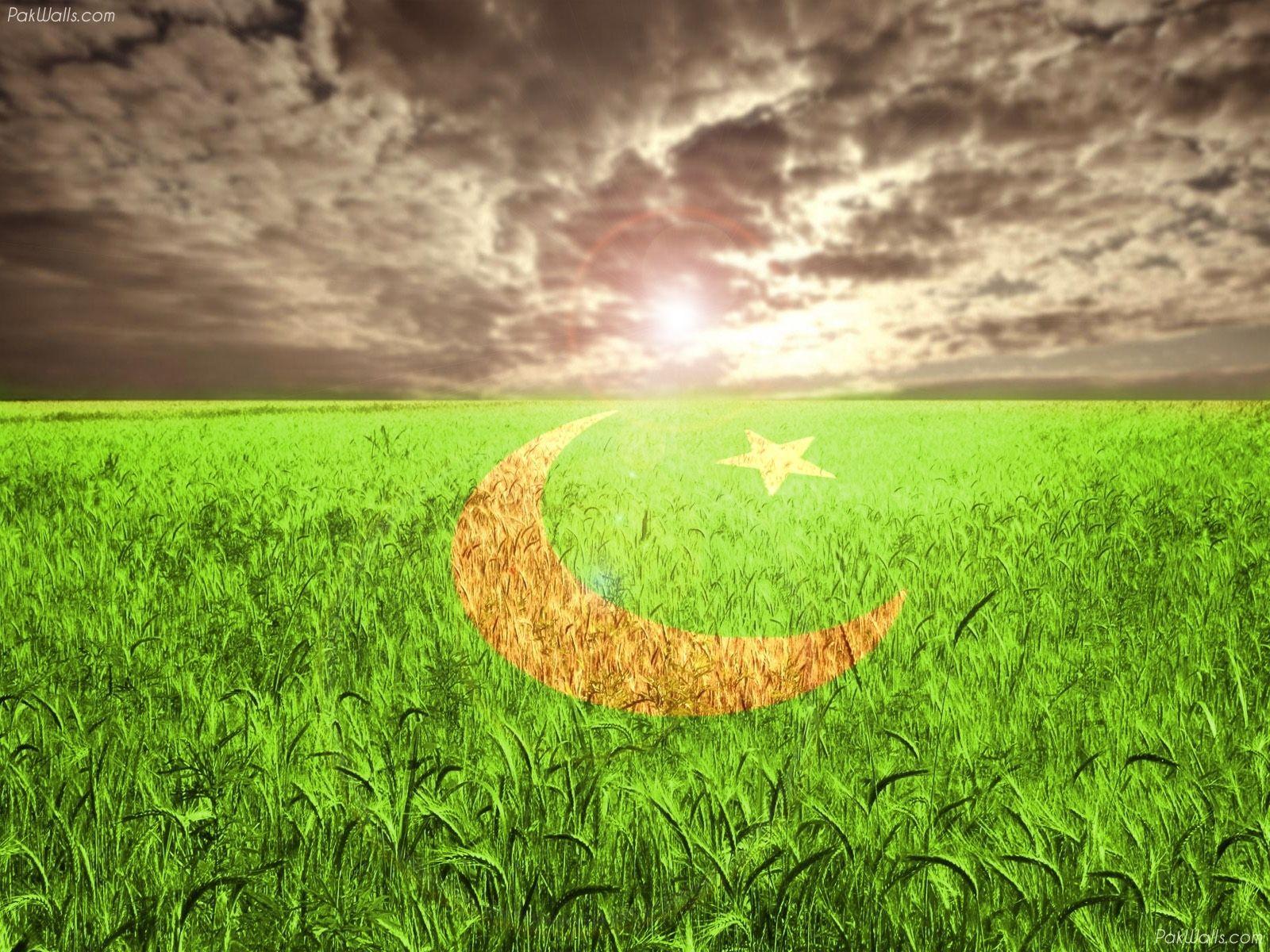 Pakistani Flag Wallpaper Picture Gallery