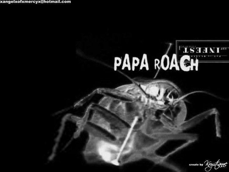 Wallpaper Music > Wallpaper Papa Roach Infest