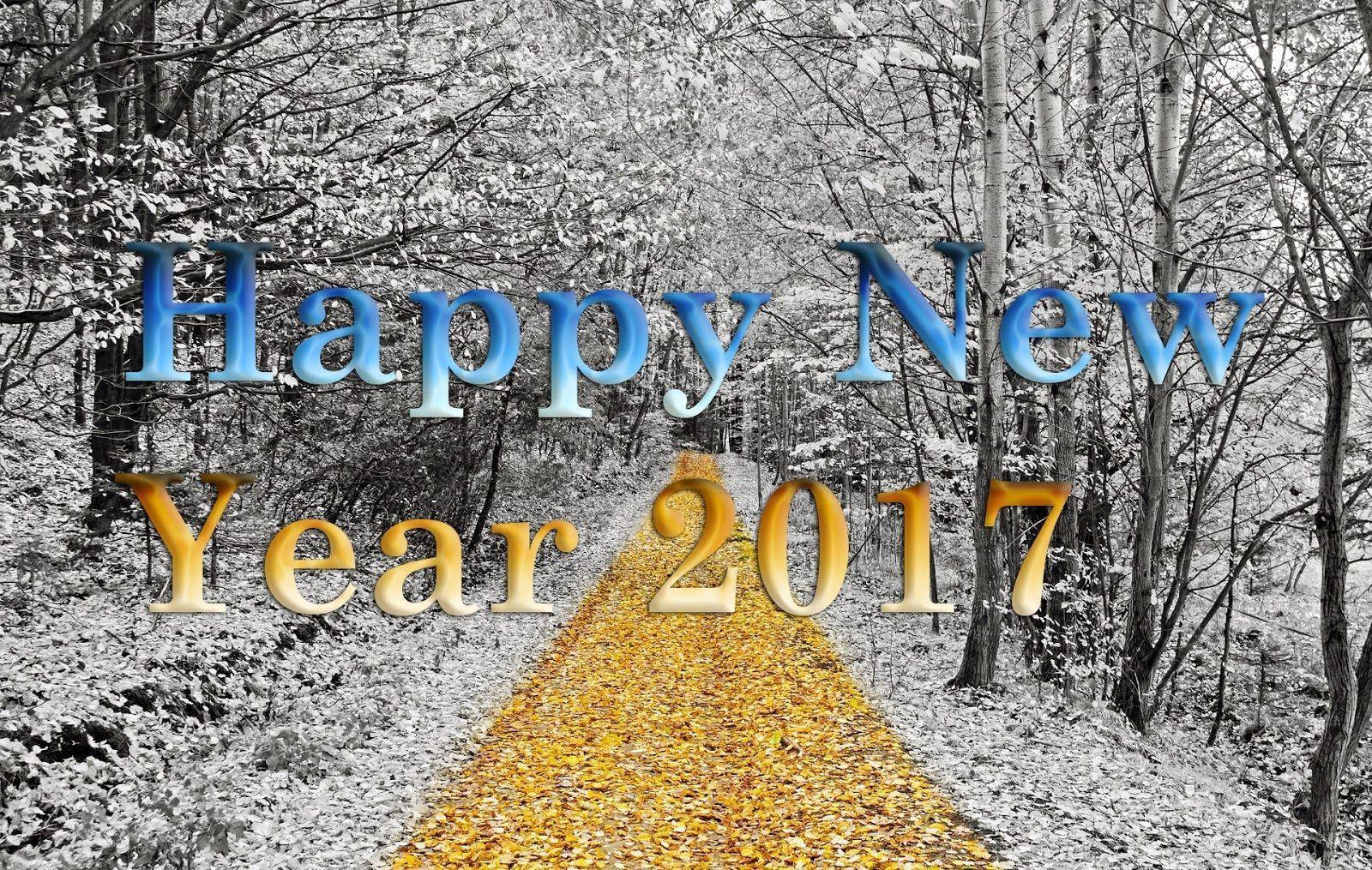 Happy New Year 2017 Wallpaper High Definition Wallpaper