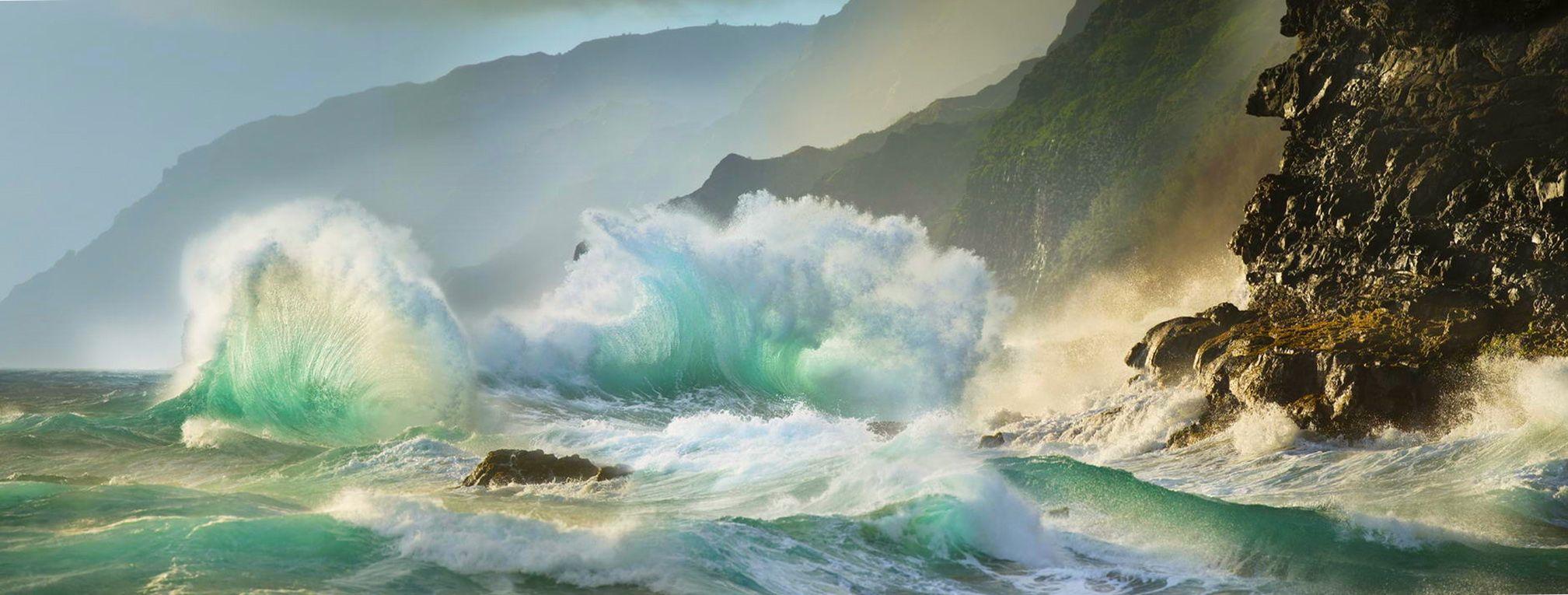 Hd Nature Wallpaper, Grass, Flowers, Freah Air, Landscape, Plant