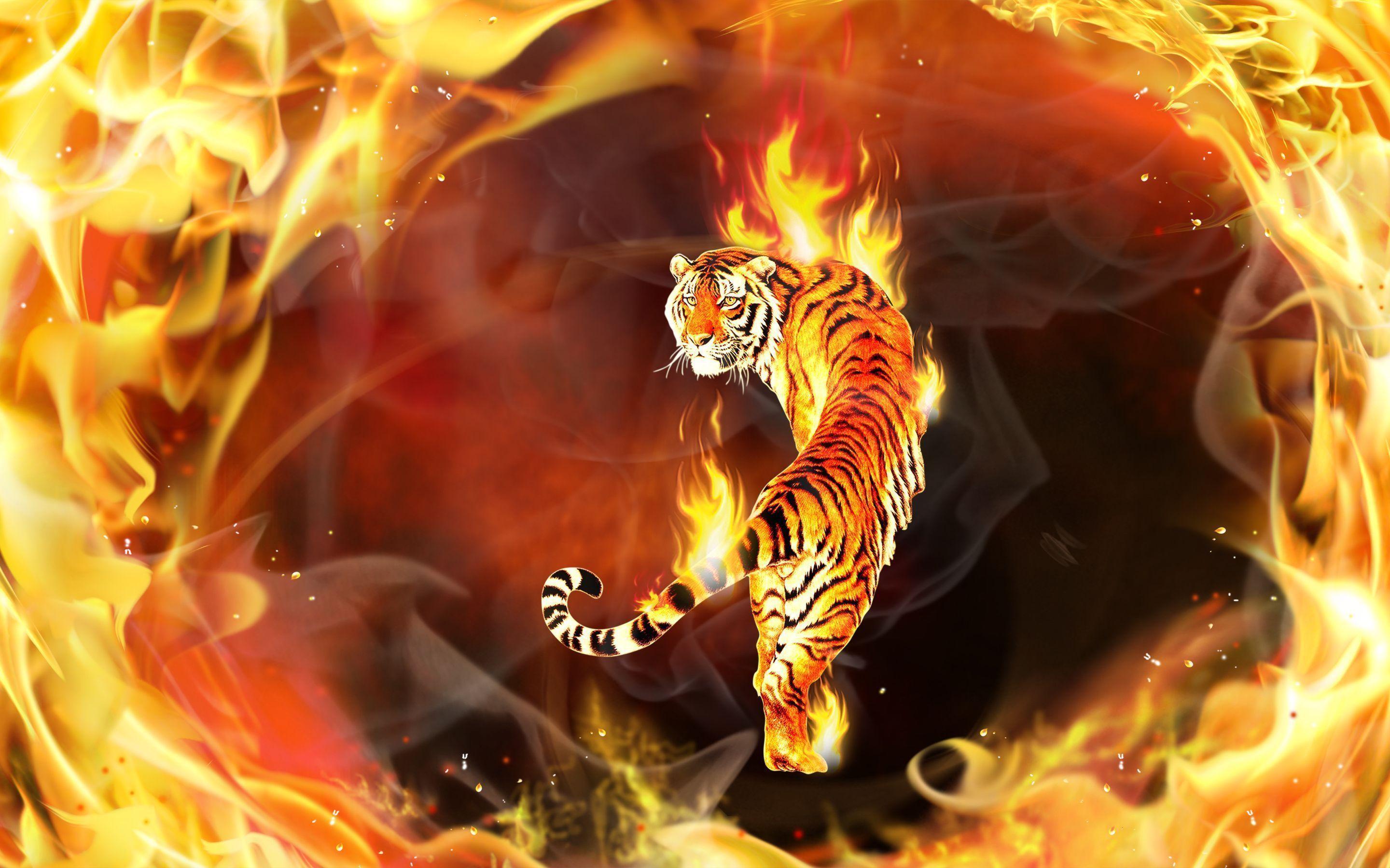 Fire Tiger Flames Digital Art Hd Wallpaper