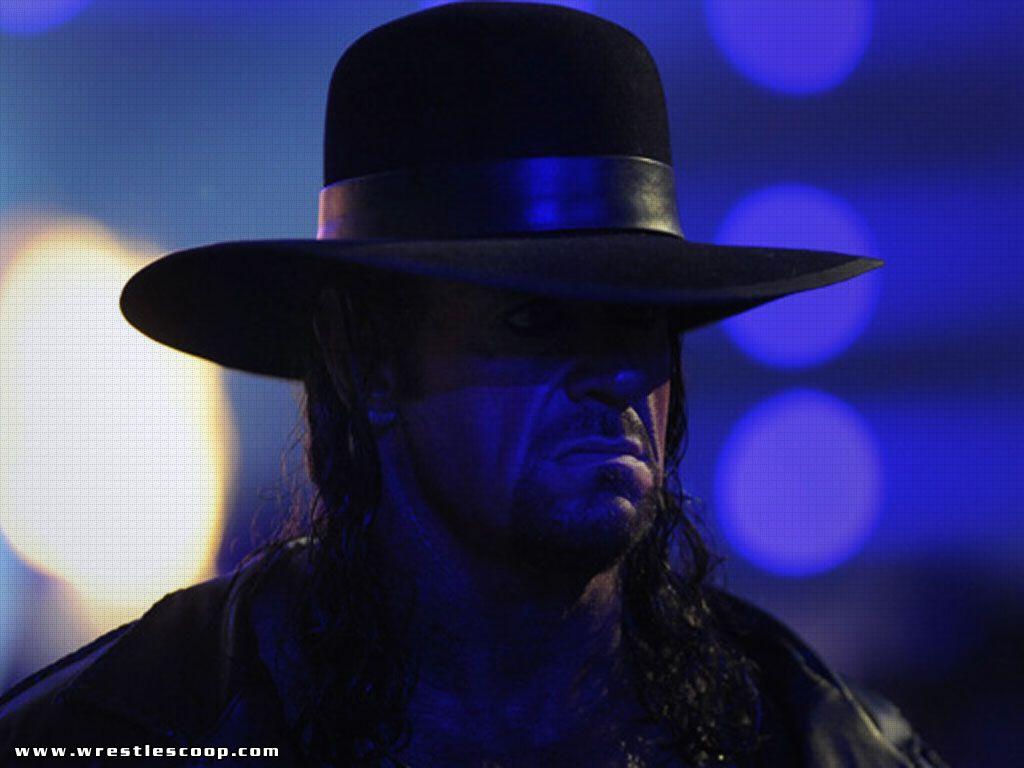 Undertaker 2014. November 2014 1280 × 800 The Undertaker Full