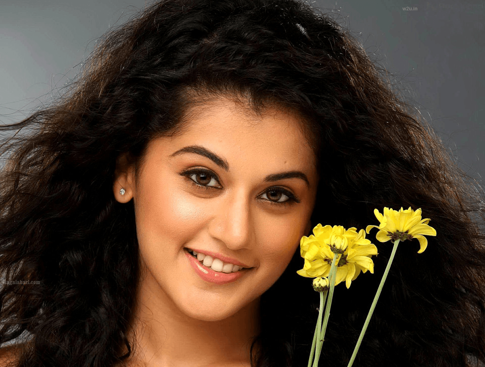 Actress Taapsee Pannu Latest HD Wallpaper and Image Download