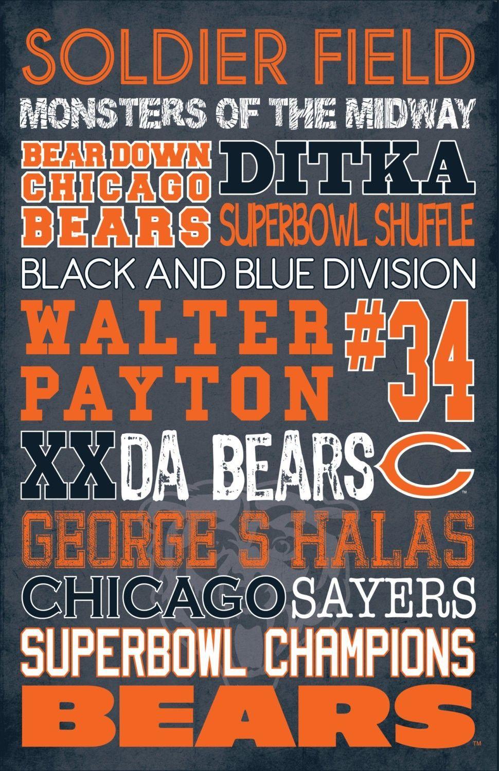 Perfect for all: nfl super bowl chicago bears 2015 from chicago