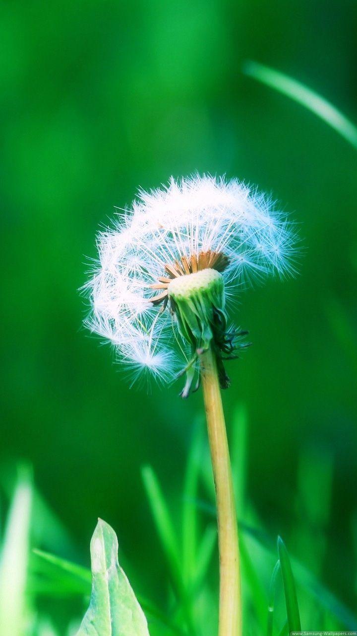 Very nice Galaxy S4 Wallpaper 1080X1920 HD. 125. Samsung